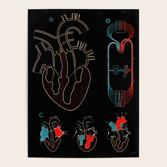 Paul Sougy: The Human Heart, 1950s (proceeds benefit The Nature Conservancy) Poster Gallery Image 4