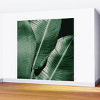 Banana leaf allure Wall Mural Gallery Image 2
