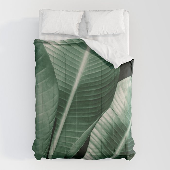 Banana leaf allure Comforter Gallery Image 1