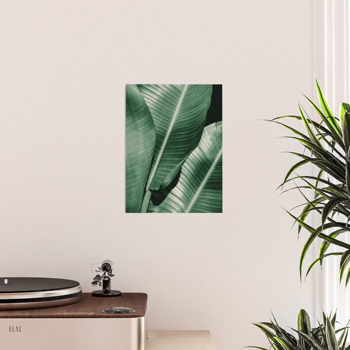 Banana leaf allure Poster Gallery Image 2