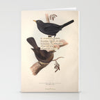 Bird Divinations: Blackbird (about: almanacofbirds.org) Stationery Card Gallery Image 2
