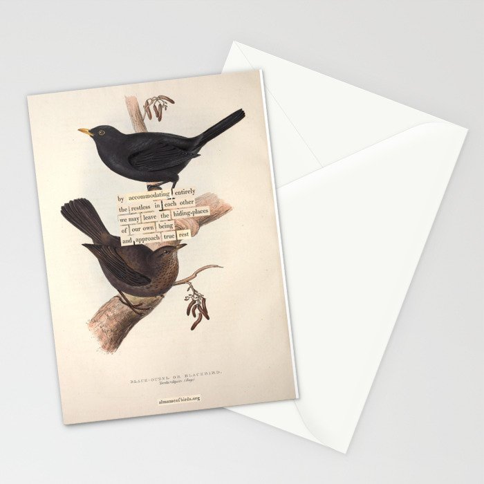 Bird Divinations: Blackbird (about: almanacofbirds.org) Stationery Card Gallery Image 2