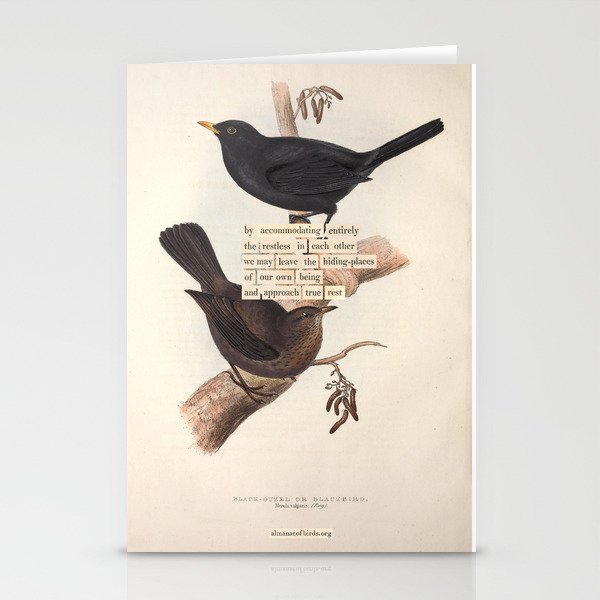 Bird Divinations: Blackbird (about: almanacofbirds.org) Stationery Card Gallery Image 1