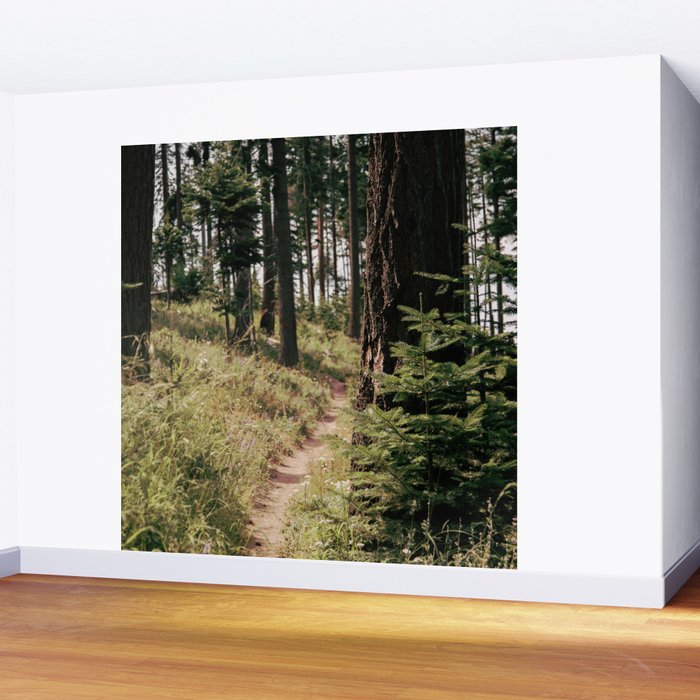 Through the Woods Wall Mural Gallery Image 2