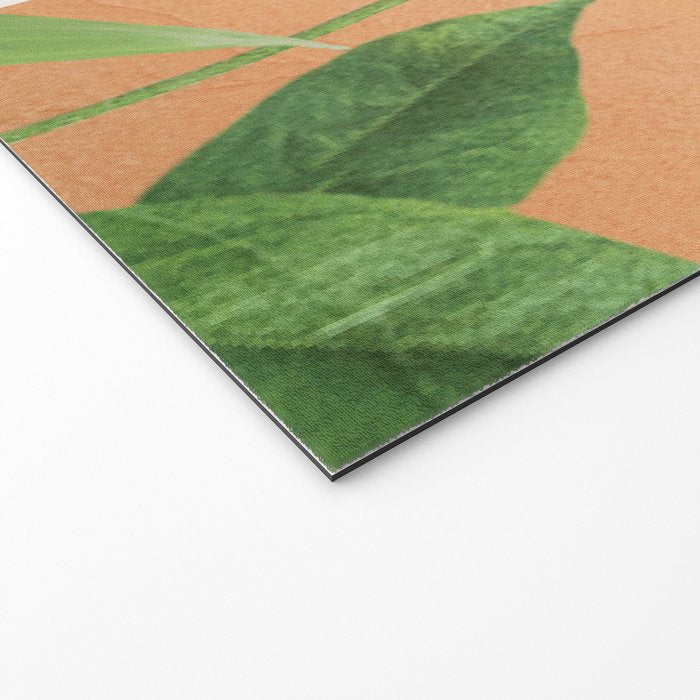 Nature Geometry X Welcome Mat Gallery Image 2