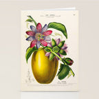Passionflower and passionfruit from "Flore dâAmÃ©rique" by Ãtienne Denisse, 1840s Stationery Card Gallery Image 2