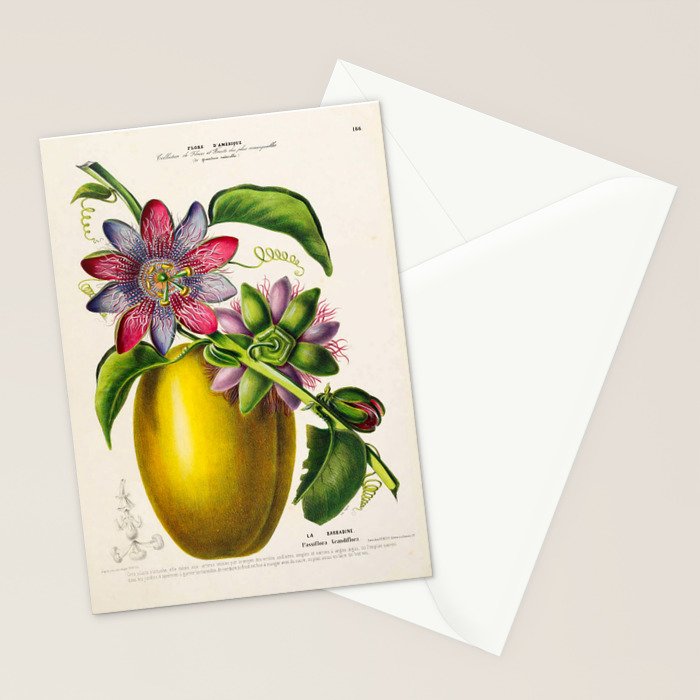 Passionflower and passionfruit from "Flore dâAmÃ©rique" by Ãtienne Denisse, 1840s Stationery Card Gallery Image 2