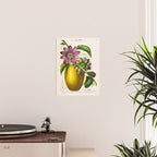 Passionflower and passionfruit from "Flore dâAmÃ©rique" by Ãtienne Denisse, 1840s Poster Gallery Image 2