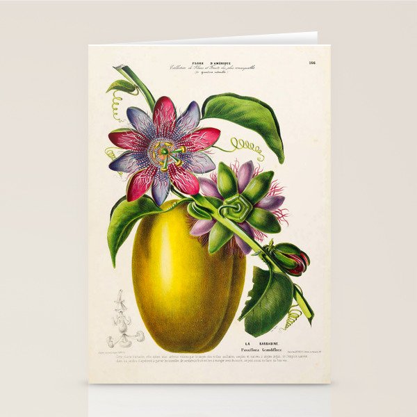 Passionflower and passionfruit from "Flore dâAmÃ©rique" by Ãtienne Denisse, 1840s Stationery Card Gallery Image 1
