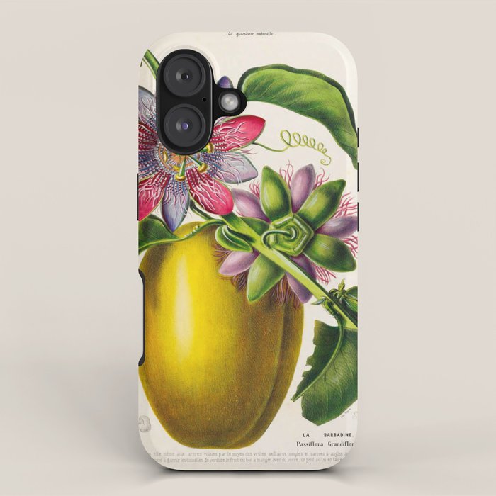 Passionflower and passionfruit from "Flore dâAmÃ©rique" by Ãtienne Denisse, 1840s iPhone Case Gallery Image 1