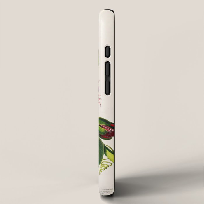 Passionflower and passionfruit from "Flore dâAmÃ©rique" by Ãtienne Denisse, 1840s iPhone Case Gallery Image 2