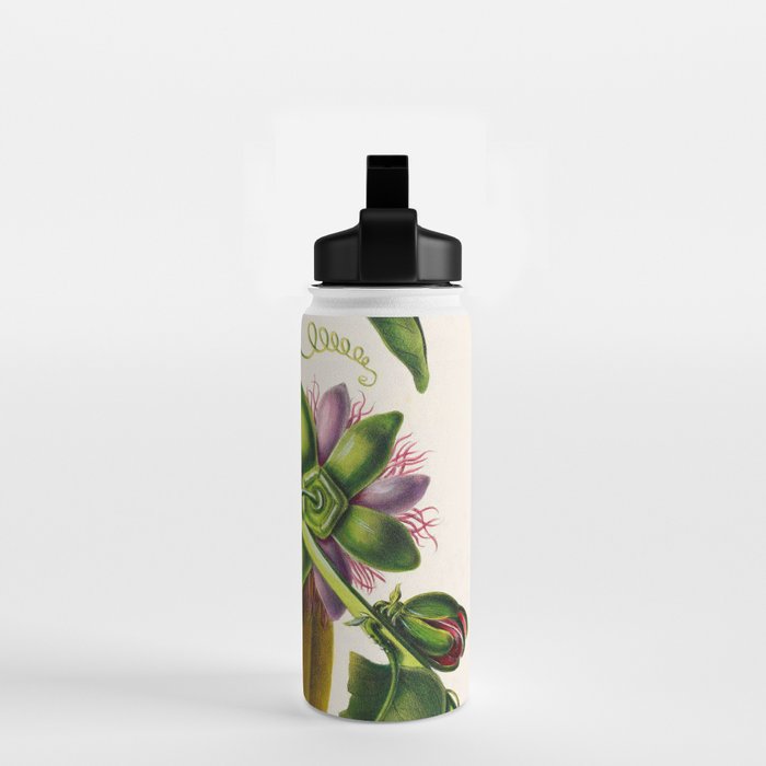 Passionflower and passionfruit from "Flore dâAmÃ©rique" by Ãtienne Denisse, 1840s Water Bottle Gallery Image 2