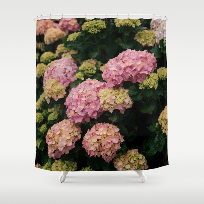 Hydrangeas Shower Curtain Gallery Image 1