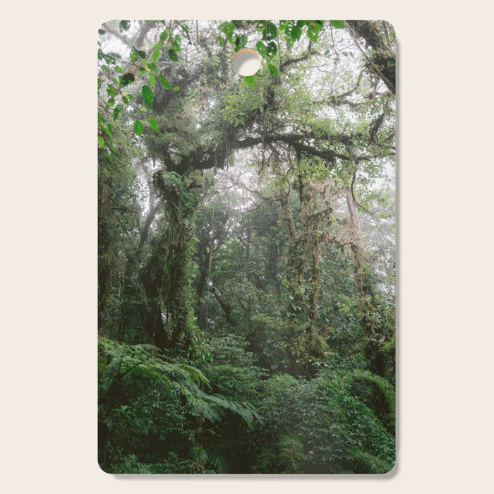 Monteverde Cloud forest | Costa Rica nature eco travel photography | Shades of green Cutting Board Gallery Image 1