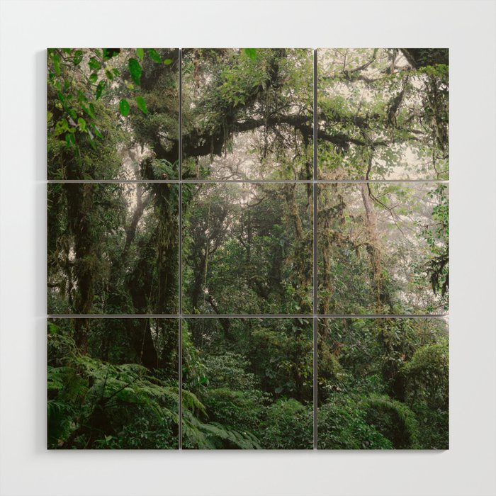 Monteverde Cloud forest | Costa Rica nature eco travel photography | Shades of green Wood Wall Art Gallery Image 1