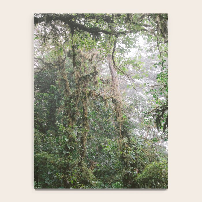 Monteverde Cloud forest | Costa Rica nature eco travel photography | Shades of green Notebook Gallery Image 4
