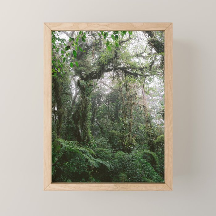 Monteverde Cloud forest | Costa Rica nature eco travel photography | Shades of green Mini Art Print Gallery Image 1