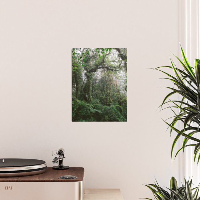 Monteverde Cloud forest | Costa Rica nature eco travel photography | Shades of green Poster Gallery Image 2