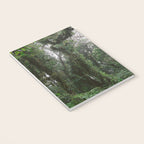 Monteverde Cloud forest | Costa Rica nature eco travel photography | Shades of green Notebook Gallery Image 3