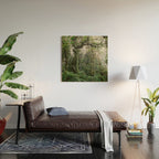Monteverde Cloud forest | Costa Rica nature eco travel photography | Shades of green Wood Wall Art Gallery Image 2