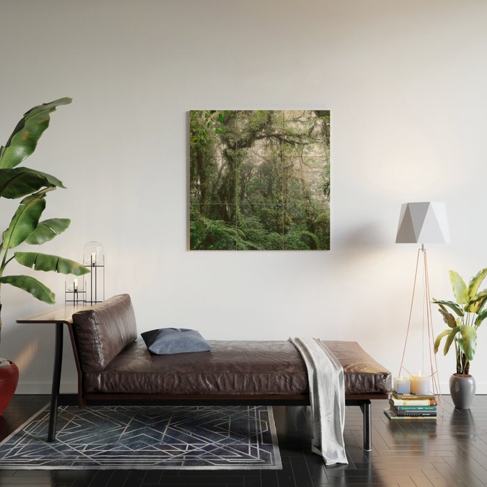 Monteverde Cloud forest | Costa Rica nature eco travel photography | Shades of green Wood Wall Art Gallery Image 2