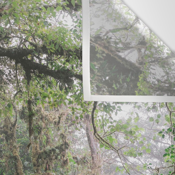 Monteverde Cloud forest | Costa Rica nature eco travel photography | Shades of green Wall Tapestry Gallery Image 3