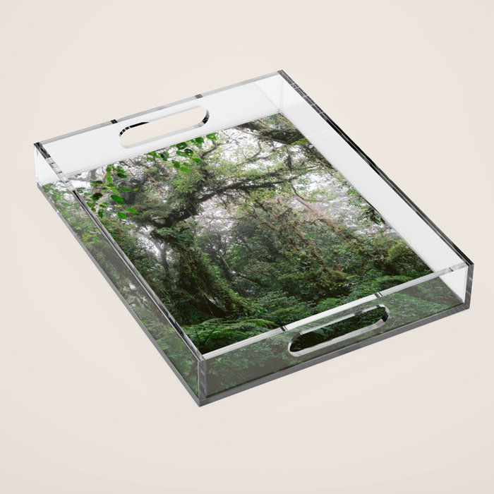 Monteverde Cloud forest | Costa Rica nature eco travel photography | Shades of green Acrylic Tray Gallery Image 1