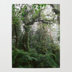 Monteverde Cloud forest | Costa Rica nature eco travel photography | Shades of green Poster Gallery Image 4