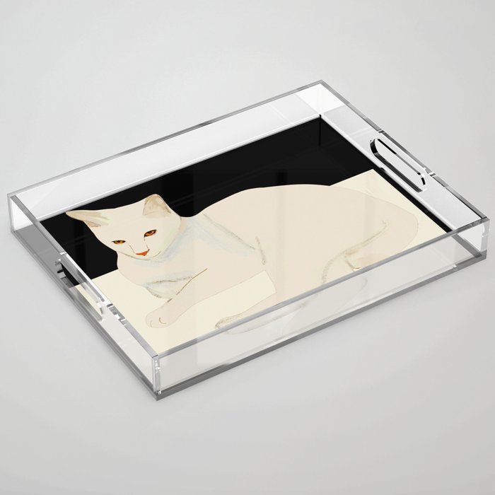 Minimal Abstract Art Cat 6 Acrylic Tray Gallery Image 1