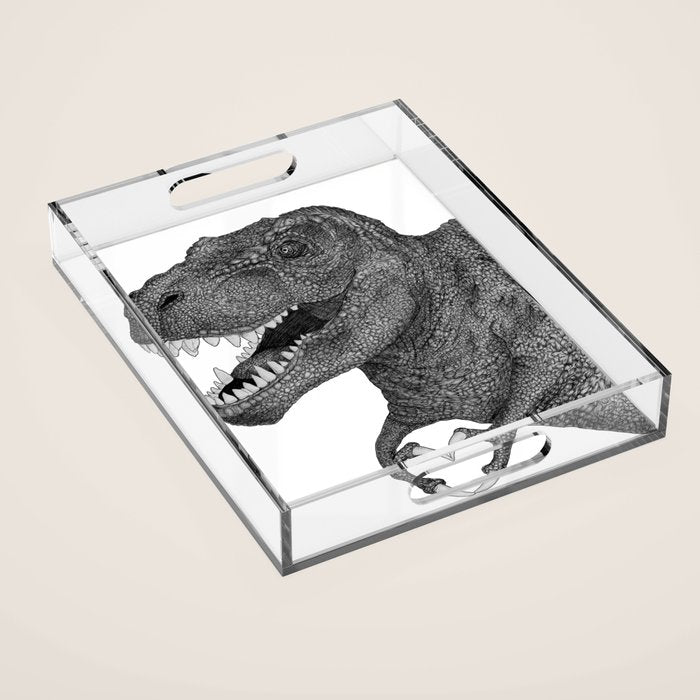 Dino Love Acrylic Tray Gallery Image 1