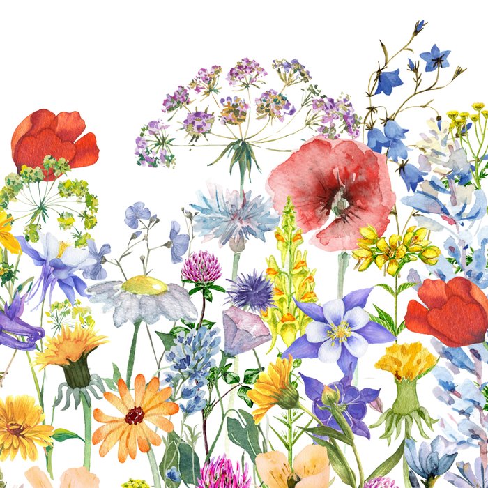 Colorful Midsummer Scandinavian Wildflowers Meadow  Coffee Mug Gallery Image 2