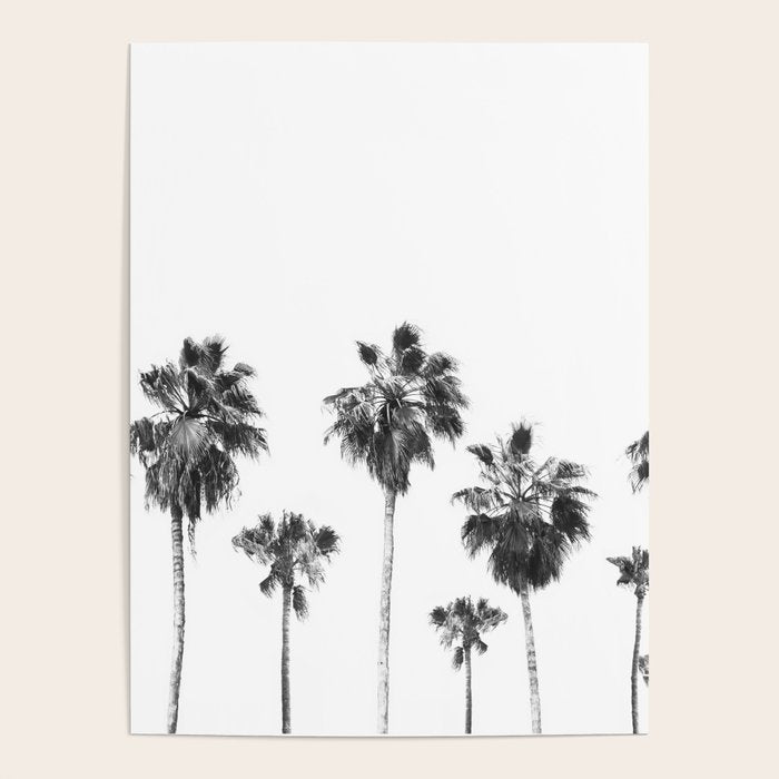 Palm Trees Poster Gallery Image 4