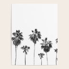 Palm Trees Poster Gallery Image 4