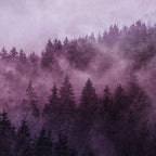 Excuse me I am lost Coffee Mug Gallery Image 2