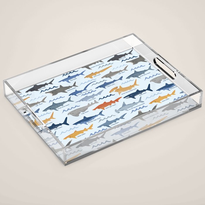 Shark Species Identification Chart Acrylic Tray Gallery Image 1