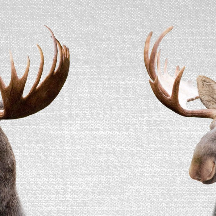 Moose - Colorful Coffee Mug Gallery Image 2