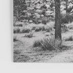JOSHUA TREE VI / California Desert Poster Gallery Image 3