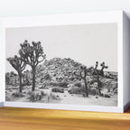 JOSHUA TREE VI / California Desert Wall Mural Gallery Image 2