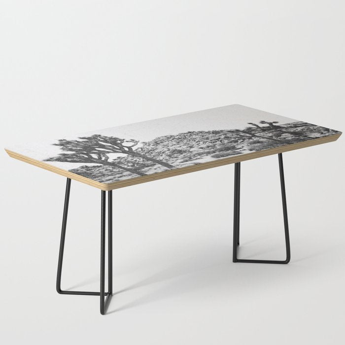 JOSHUA TREE VI / California Desert Coffee Table Gallery Image 1