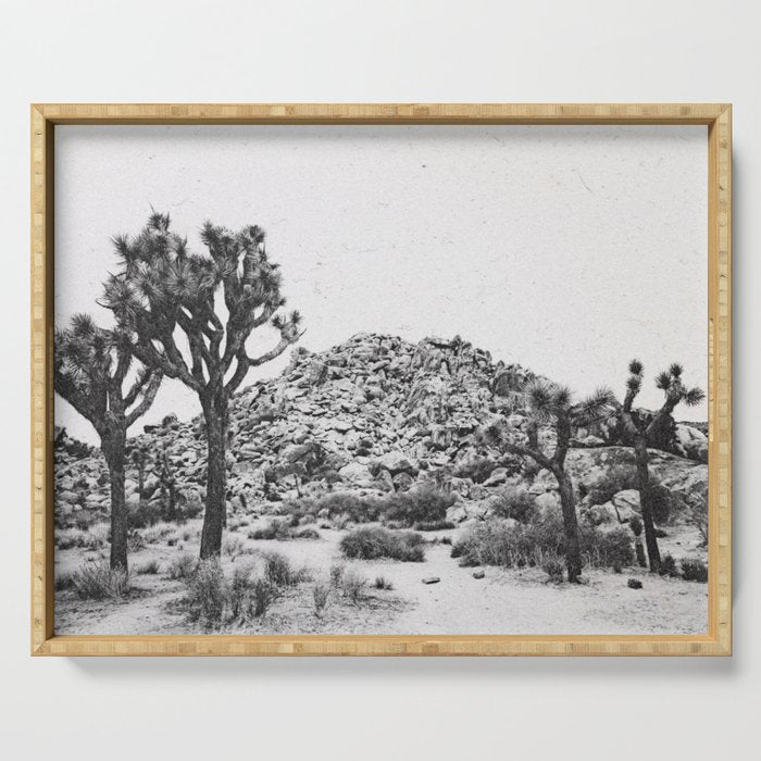 JOSHUA TREE VI / California Desert Serving Tray Gallery Image 1