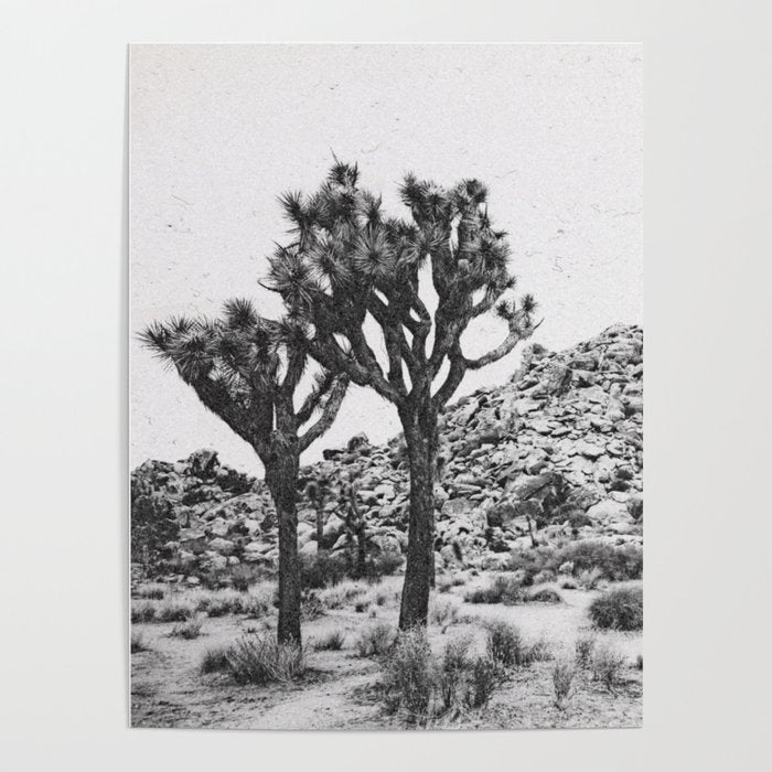 JOSHUA TREE VI / California Desert Poster Gallery Image 1
