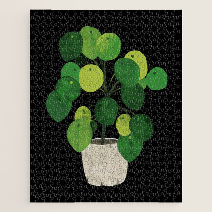 Black Pliea Peperonioides interior plant Jigsaw Puzzle Gallery Image 1