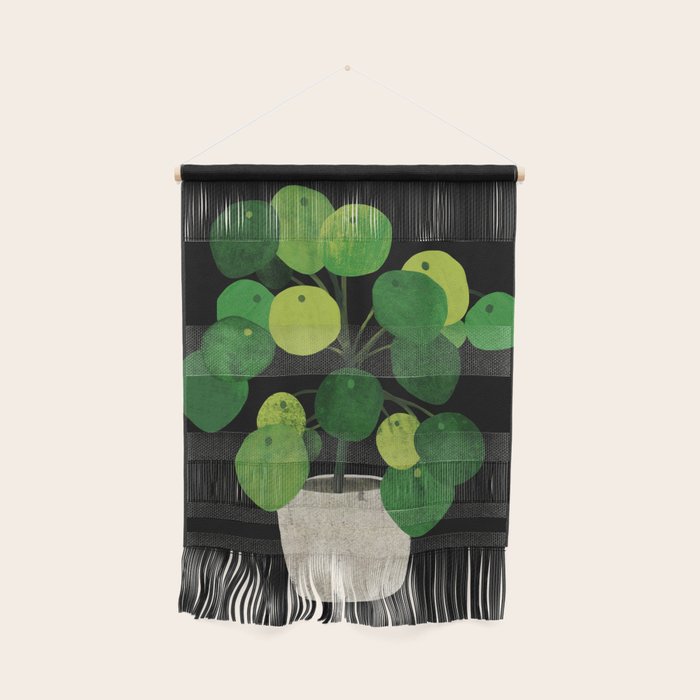 Black Pliea Peperonioides interior plant Wall Hanging Gallery Image 1