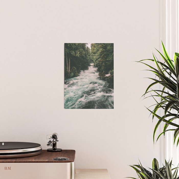 Mckenzie River Poster Gallery Image 2