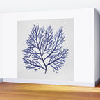 Seaweed 9 Wall Mural Gallery Image 2