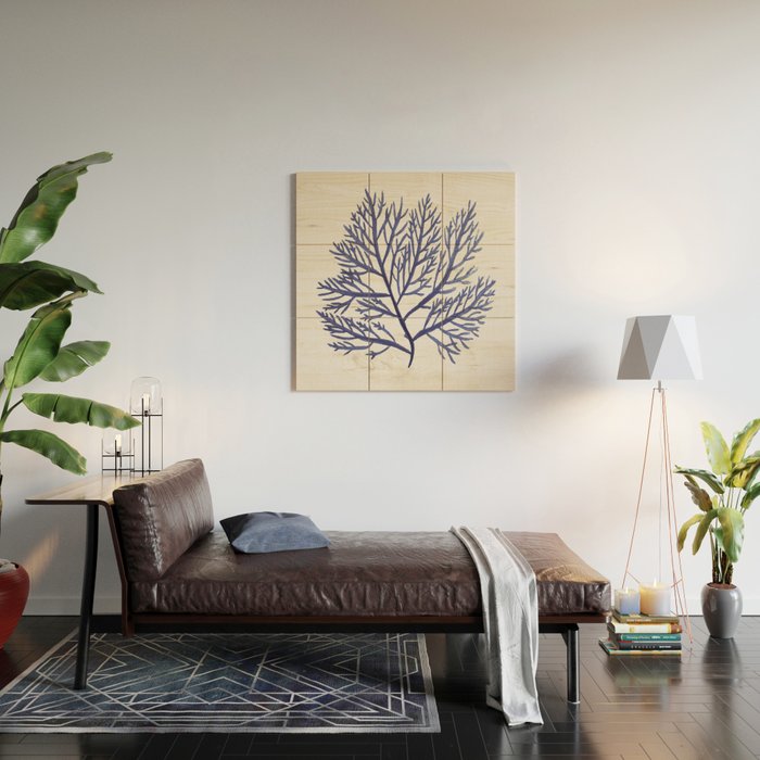 Seaweed 9 Wood Wall Art Gallery Image 2