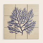 Seaweed 9 Wood Wall Art Gallery Image 1