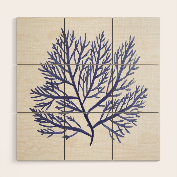 Seaweed 9 Wood Wall Art Gallery Image 1