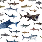 SHARKS poster-white Coffee Mug Gallery Image 2