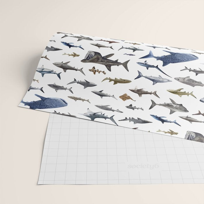 SHARKS poster-white Wrapping Paper Gallery Image 2